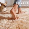 RUGSREAL 2x3 Machine Washable Small Bedside Rug, Soft Fluffy Shaggy Entryway Throw Rugs for Bedroom, Living Room, Indoor Floor Carpet for Kids Girls and Boys, Nursery Rooms, Home Decor Aesthetic, Beige