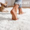 RUGSREAL 2x3 Machine Washable Small Bedside Rug, Soft Fluffy Shaggy Entryway Throw Rugs for Bedroom, Living Room, Indoor Floor Carpet for Kids Girls and Boys, Nursery Rooms, Home Decor Aesthetic, White