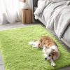 RUGSREAL 2x3 Machine Washable Small Bedside Rug, Soft Fluffy Shaggy Entryway Throw Rugs for Bedroom, Living Room, Indoor Floor Carpet for Kids Girl Boy, Nursery Rooms, Home Decor Aesthetic, Grass Green