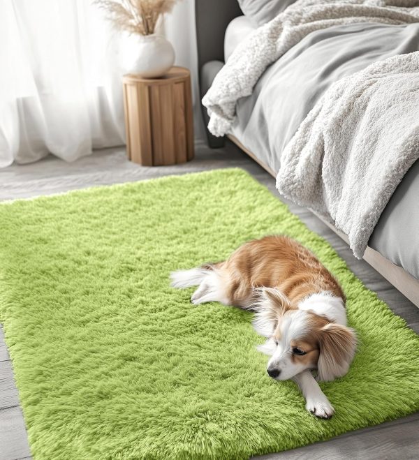 RUGSREAL 2x3 Machine Washable Small Bedside Rug, Soft Fluffy Shaggy Entryway Throw Rugs for Bedroom, Living Room, Indoor Floor Carpet for Kids Girl Boy, Nursery Rooms, Home Decor Aesthetic, Grass Green