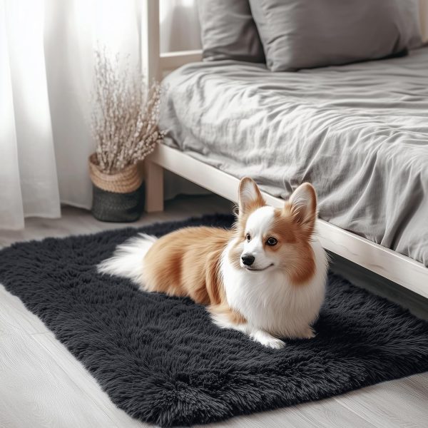 RUGSREAL 2x3 Machine Washable Small Bedside Rug, Soft Fluffy Shaggy Entryway Throw Rugs for Bedroom, Living Room, Indoor Floor Carpet for Kids Girls and Boys, Nursery Rooms, Home Decor Aesthetic, Black