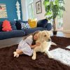 RUGSREAL 2x3 Machine Washable Small Bedside Rug, Soft Fluffy Shaggy Entryway Throw Rugs for Bedroom, Living Room, Indoor Floor Carpet for Kids Girls Boys, Nursery Rooms, Home Decor Aesthetic, Coffee