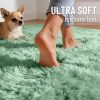 RUGSREAL 2x3 Machine Washable Small Bedside Rug, Soft Fluffy Shaggy Entryway Throw Rugs for Bedroom, Living Room, Indoor Floor Carpet for Kids Girls Boy, Nursery Rooms, Home Decor Aesthetic, Mint Green