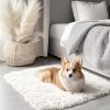RUGSREAL 2x3 Machine Washable Small Bedside Rug, Soft Fluffy Shaggy Entryway Throw Rugs for Bedroom, Living Room, Indoor Floor Carpet for Kids Girls and Boys, Nursery Rooms, Home Decor Aesthetic, Ivory