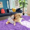 RUGSREAL 2x3 Machine Washable Small Bedside Rug, Soft Fluffy Shaggy Entryway Throw Rugs for Bedroom, Living Room, Indoor Floor Carpet for Kids Girls Boys, Nursery Rooms, Home Decor Aesthetic, Purple