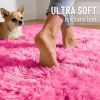 RUGSREAL 2x3 Machine Washable Small Bedside Rug, Soft Fluffy Shaggy Entryway Throw Rugs for Bedroom, Living Room, Indoor Floor Carpet for Kids Girls Boys, Nursery Rooms, Home Decor Aesthetic, Hot Pink