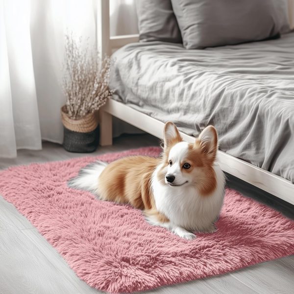 RUGSREAL 2x3 Machine Washable Small Bedside Rug, Soft Fluffy Shaggy Entryway Throw Rugs for Bedroom, Living Room, Indoor Floor Carpet for Kids Girls Boys, Nursery Rooms, Home Decor Aesthetic, Pale Pink