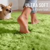 RUGSREAL 2x3 Machine Washable Small Bedside Rug, Soft Fluffy Shaggy Entryway Throw Rugs for Bedroom, Living Room, Indoor Floor Carpet for Kids Girl Boy, Nursery Rooms, Home Decor Aesthetic, Grass Green