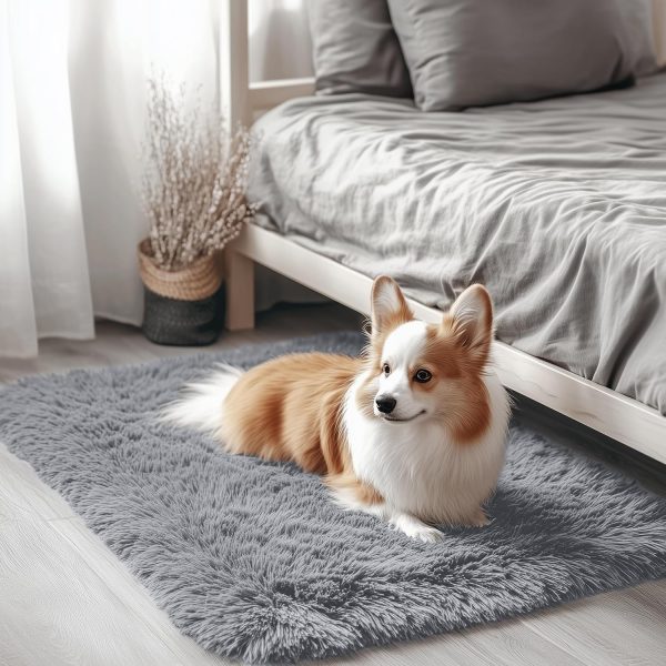 RUGSREAL 2x3 Machine Washable Small Bedside Rug, Soft Fluffy Shaggy Entryway Throw Rugs for Bedroom, Living Room, Indoor Floor Carpet for Kids Girls Boy, Nursery Rooms, Home Decor Aesthetic, Light Grey
