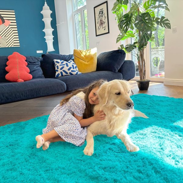RUGSREAL 2x3 Machine Washable Small Bedside Rug, Soft Fluffy Shaggy Entryway Throw Rugs for Bedroom, Living Room, Indoor Floor Carpet for Kids Girls Boys, Nursery Rooms, Home Decor Aesthetic, Teal Blue