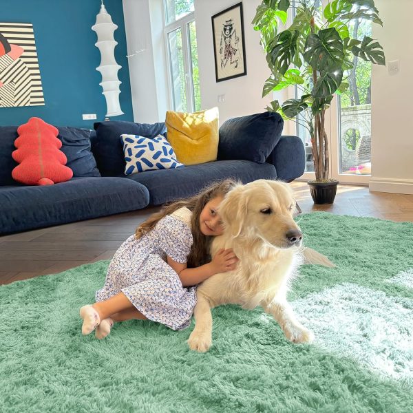 RUGSREAL 2x3 Machine Washable Small Bedside Rug, Soft Fluffy Shaggy Entryway Throw Rugs for Bedroom, Living Room, Indoor Floor Carpet for Kids Girls Boy, Nursery Rooms, Home Decor Aesthetic, Mint Green