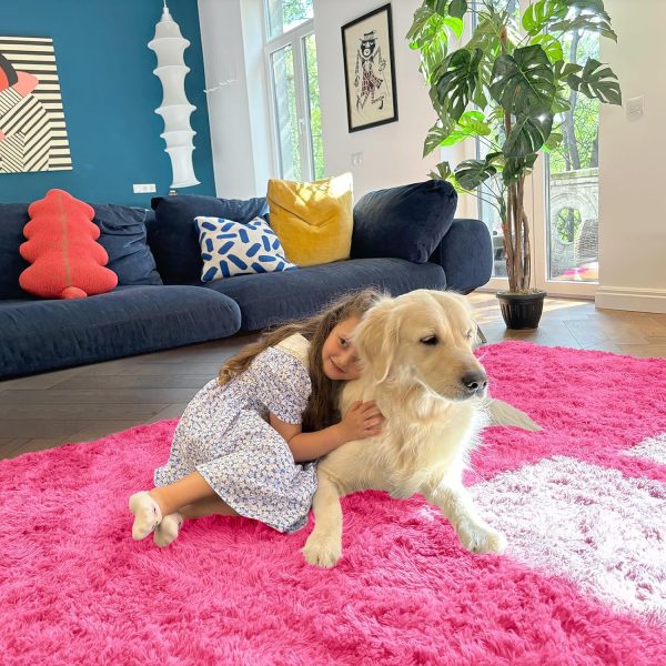 RUGSREAL 2x3 Machine Washable Small Bedside Rug, Soft Fluffy Shaggy Entryway Throw Rugs for Bedroom, Living Room, Indoor Floor Carpet for Kids Girls Boys, Nursery Rooms, Home Decor Aesthetic, Hot Pink