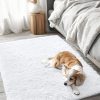 RUGSREAL 2x3 Machine Washable Small Bedside Rug, Soft Fluffy Shaggy Entryway Throw Rugs for Bedroom, Living Room, Indoor Floor Carpet for Kids Girls and Boys, Nursery Rooms, Home Decor Aesthetic, White