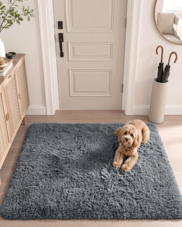 RUGSREAL 2x3 Machine Washable Small Bedside Rug, Soft Fluffy Shaggy Entryway Throw Rugs for Bedroom, Living Room, Indoor Floor Carpet for Kids Girls and Boys, Nursery Rooms, Home Decor Aesthetic, Grey