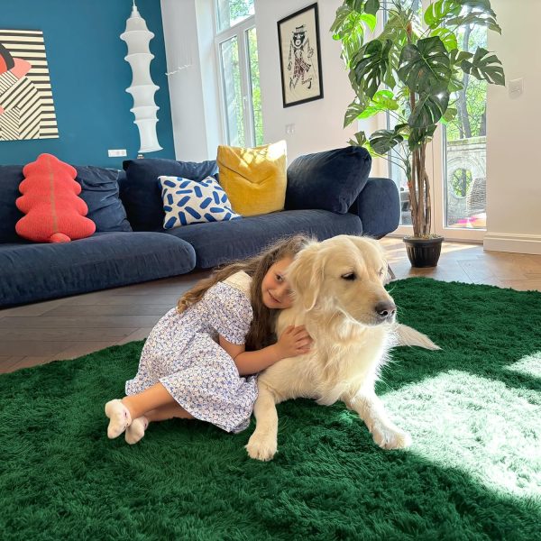 RUGSREAL 2x3 Machine Washable Small Bedside Rug, Soft Fluffy Shaggy Entryway Throw Rugs for Bedroom, Living Room, Indoor Floor Carpet for Kids Girls Boy, Nursery Rooms, Home Decor Aesthetic, Dark Green