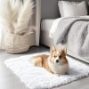 RUGSREAL 2x3 Machine Washable Small Bedside Rug, Soft Fluffy Shaggy Entryway Throw Rugs for Bedroom, Living Room, Indoor Floor Carpet for Kids Girls and Boys, Nursery Rooms, Home Decor Aesthetic, White