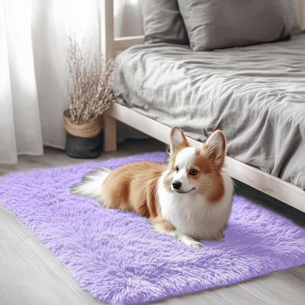 RUGSREAL 2x3 Machine Washable Small Bedside Rug, Soft Fluffy Shaggy Entryway Throw Rugs for Bedroom, Living Room, Indoor Floor Carpet for Kids Girl Boy, Nursery Room, Home Decor Aesthetic, Light Purple