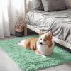 RUGSREAL 2x3 Machine Washable Small Bedside Rug, Soft Fluffy Shaggy Entryway Throw Rugs for Bedroom, Living Room, Indoor Floor Carpet for Kids Girls Boy, Nursery Rooms, Home Decor Aesthetic, Mint Green