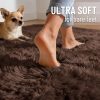 RUGSREAL 2x3 Machine Washable Small Bedside Rug, Soft Fluffy Shaggy Entryway Throw Rugs for Bedroom, Living Room, Indoor Floor Carpet for Kids Girls Boys, Nursery Rooms, Home Decor Aesthetic, Coffee