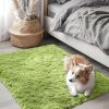 RUGSREAL 2x3 Machine Washable Small Bedside Rug, Soft Fluffy Shaggy Entryway Throw Rugs for Bedroom, Living Room, Indoor Floor Carpet for Kids Girl Boy, Nursery Rooms, Home Decor Aesthetic, Grass Green