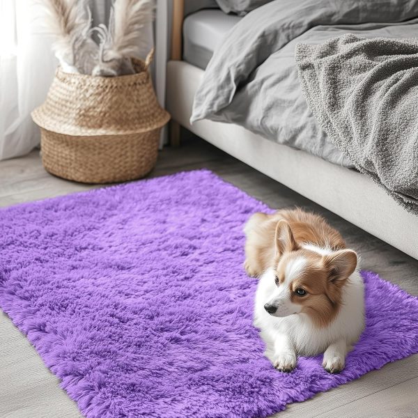 RUGSREAL 2x3 Machine Washable Small Bedside Rug, Soft Fluffy Shaggy Entryway Throw Rugs for Bedroom, Living Room, Indoor Floor Carpet for Kids Girls Boys, Nursery Rooms, Home Decor Aesthetic, Purple