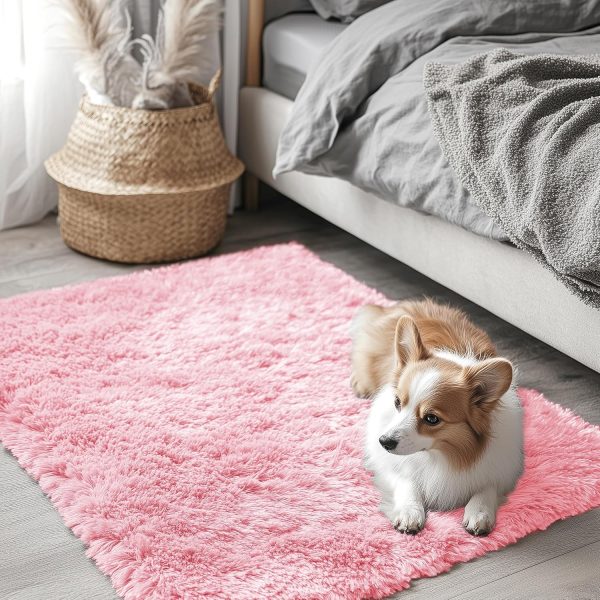 RUGSREAL 2x3 Machine Washable Small Bedside Rug, Soft Fluffy Shaggy Entryway Throw Rugs for Bedroom, Living Room, Indoor Floor Carpet for Kids Girls and Boys, Nursery Rooms, Home Decor Aesthetic, Pink