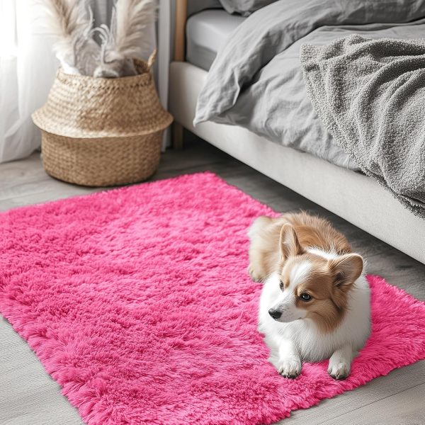 RUGSREAL 2x3 Machine Washable Small Bedside Rug, Soft Fluffy Shaggy Entryway Throw Rugs for Bedroom, Living Room, Indoor Floor Carpet for Kids Girls Boys, Nursery Rooms, Home Decor Aesthetic, Hot Pink