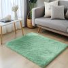 RUGSREAL 2x3 Machine Washable Small Bedside Rug, Soft Fluffy Shaggy Entryway Throw Rugs for Bedroom, Living Room, Indoor Floor Carpet for Kids Girls Boy, Nursery Rooms, Home Decor Aesthetic, Mint Green