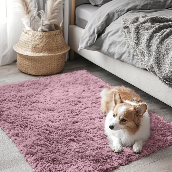 RUGSREAL 2x3 Machine Washable Small Bedside Rug, Soft Fluffy Shaggy Entryway Throw Rugs for Bedroom, Living Room, Indoor Floor Carpet for Kids Girls and Boys, Nursery Rooms, Home Decor Aesthetic, Blush